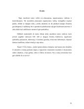 Valdymo procesas muzikiniame teatre 16 puslapis