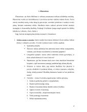 Valdymo procesas muzikiniame teatre 4 puslapis