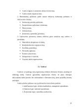 Valdymo procesas muzikiniame teatre 10 puslapis