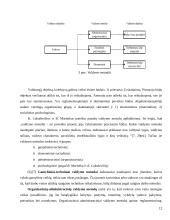 Valdymo samprata 12 puslapis