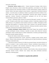 Valdymo samprata 13 puslapis