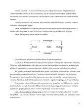 Valdymo samprata 15 puslapis