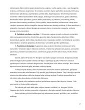 Valdymo samprata 17 puslapis