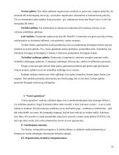 Valdymo samprata 18 puslapis