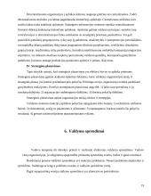 Valdymo samprata 19 puslapis