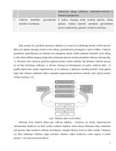 Valdymo samprata 7 puslapis