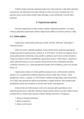 Valdymo situacija: baldų gamyba IĮ "TAVO baldai" 11 puslapis