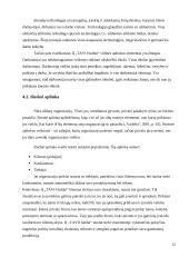 Valdymo situacija: baldų gamyba IĮ "TAVO baldai" 12 puslapis