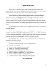 Valdymo situacija: baldų gamyba IĮ "TAVO baldai" 17 puslapis