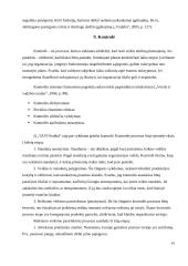 Valdymo situacija: baldų gamyba IĮ "TAVO baldai" 19 puslapis