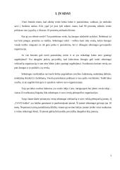 Valdymo situacija: baldų gamyba IĮ "TAVO baldai" 3 puslapis