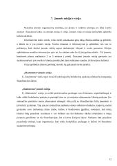 Valdymo situacija: buhalterinė apskaita IĮ "Skaitmenta" 11 puslapis