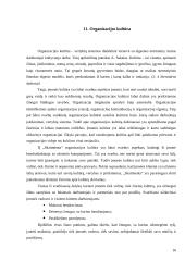 Valdymo situacija: buhalterinė apskaita IĮ "Skaitmenta" 15 puslapis