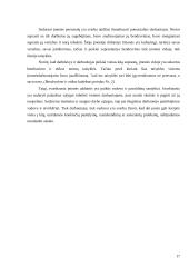 Valdymo situacija: buhalterinė apskaita IĮ "Skaitmenta" 16 puslapis