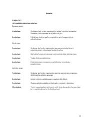 Valdymo situacija: buhalterinė apskaita IĮ "Skaitmenta" 19 puslapis