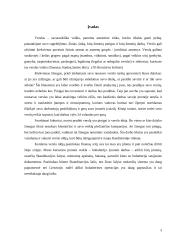 Valdymo situacija: buhalterinė apskaita IĮ "Skaitmenta" 2 puslapis