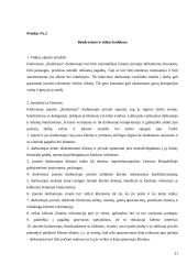 Valdymo situacija: buhalterinė apskaita IĮ "Skaitmenta" 20 puslapis