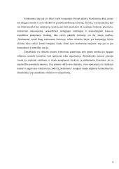 Valdymo situacija: buhalterinė apskaita IĮ "Skaitmenta" 8 puslapis