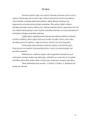 Valdymo sprendimo priėmimo procesas 12 puslapis