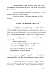 Valdymo sprendimo priėmimo procesas 9 puslapis