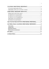 Valdymo sprendimų priėmimas 2 puslapis