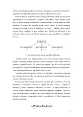 Valdymo stiliai 12 puslapis