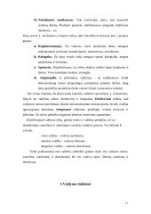 Valdymo stiliai 15 puslapis