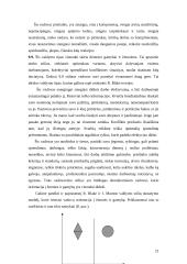 Valdymo stiliai 19 puslapis