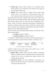 Valdymo stiliai 4 puslapis