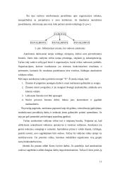 Valdymo stiliai 9 puslapis