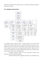 Valdymo struktūrų projektavimas ir aktualizavimas 15 puslapis
