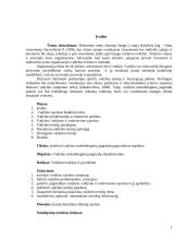 Valdymo teorijos 2 puslapis