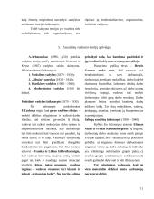 Valdymo teorijos 11 puslapis