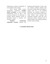 Valdymo teorijos 13 puslapis