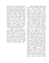 Valdymo teorijos 14 puslapis