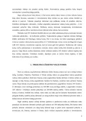 Valiutų keitimas 4 puslapis