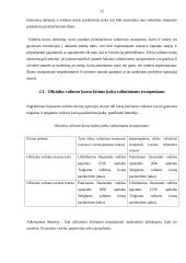 Valiutos kursų įtaka finansinei veiklai 11 puslapis