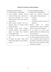 Valiutos rizikos valdymas 11 puslapis