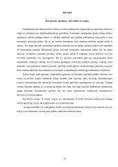 Valiutos rizikos valdymas 13 puslapis