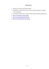 Valiutos rizikos valdymas 14 puslapis