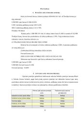 Valiutos rizikos valdymas 15 puslapis