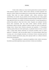 Valiutos rizikos valdymas 3 puslapis