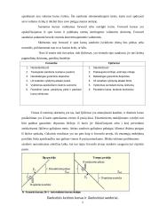 Valiutos rizikos valdymas 5 puslapis