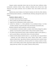 Valiutos rizikos valdymas 6 puslapis