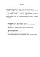 Valstybės biudžeto subalansavimo problemos 2 puslapis