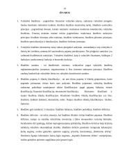 Valstybės biudžeto subalansavimo problemos 13 puslapis