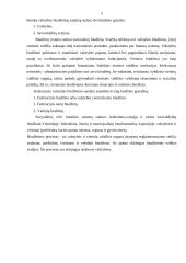 Valstybės biudžeto subalansavimo problemos 4 puslapis