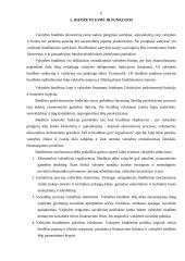 Valstybės biudžeto subalansavimo problemos 5 puslapis