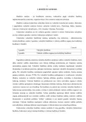 Valstybės biudžeto subalansavimo problemos 6 puslapis