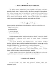 Valstybės biudžeto subalansavimo problemos 8 puslapis